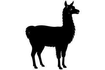 Lama Silhouette,  Vector of lama standing side view black silhouette    © Trendy CraftSVG 
