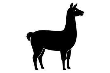 
Lama Silhouette,  Vector of lama standing side view black silhouette


