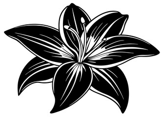 Lily Silhouette & Flower Outline: Essential Botanical Elements for Design Projects
