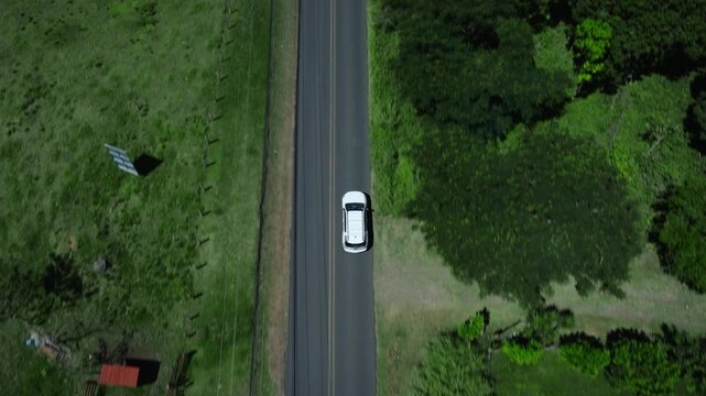 Aerial Top Down tracking shot of white SUV driving on paved road with trees in the scenic green countryside of Costa Rica. 