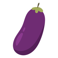Eggplant vector illustration