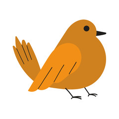 Red bird illustration