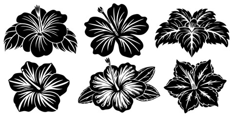 Beautiful Hibiscus Flower Art on White Background for Modern Decor, Fresh Hibiscus Flower Illustrations.