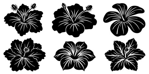 Beautiful Hibiscus Flower Art on White Background for Modern Decor, Fresh Hibiscus Flower Illustrations.