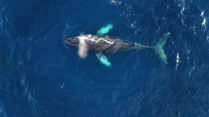 Naklejka premium default