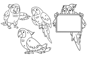 A set of four drawings of parrots holding a sign