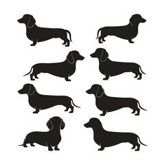 Dachshund dog silhouette set animals vector template illustration
