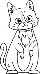 A cat with a collar is sitting on the ground