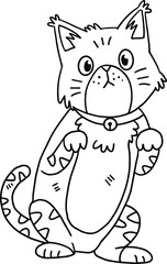 A cat with a collar is sitting on the ground