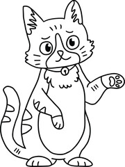 A cat with a collar is sitting on the ground