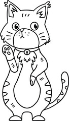 A cat with a collar is sitting on the ground