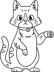 A cat with a collar is sitting on the ground