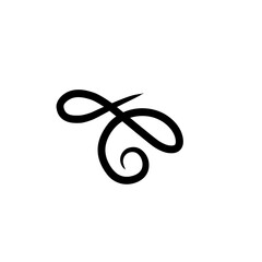 ornament swirl flourish