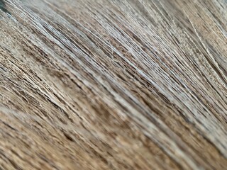 brown gold Broom, dry straw texture strip line gradient background
