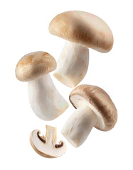 Fototapeta premium Fresh white mushrooms isolated on a white background. Ideal for cooking, recipes, and healthy eating concepts. High quality, detailed image.