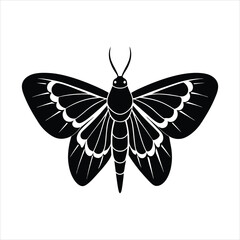moths black vector