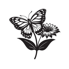 Vector illustration of butterfly on white background.