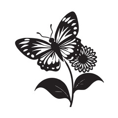 Vector illustration of butterfly on white background.
