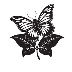 Vector illustration of butterfly on white background.
