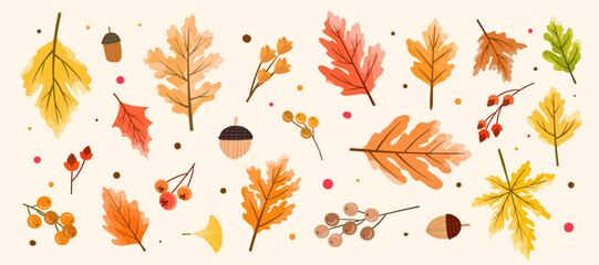 Obraz premium Autumn Leaves or Fall Leaves and Maple Leaf, Oak Leaf, Dry Leaf, Fall Foliage for Autumn Background or Autumn Mood Set in Vector SVG