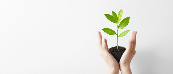 Success concept on white background strategy.