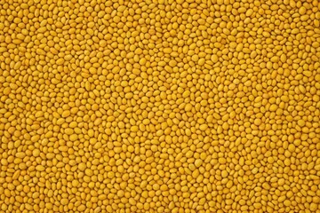 grain texture background, yellow and orange background texture