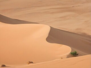 sand dunes in desert