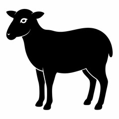 black and white sheep, sheep vector illustration, pet vector art, sheeps silhouette, animal vector icon, eps, sheep baby