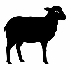 black and white sheep, sheep vector illustration, pet vector art, sheeps silhouette, animal vector icon, eps, sheep baby