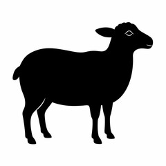 black and white sheep, sheep vector illustration, pet vector art, sheeps silhouette, animal vector icon, eps, sheep baby