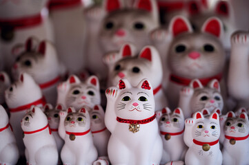 世田谷の豪徳寺で奉納されている沢山の招き猫を撮影した写真