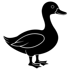 duck isolated on white, duck vector illustration, pet vector art, ducks silhouette, animal vector icon, eps