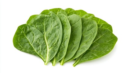 Fototapeta premium Sliced spinach leaves arranged in a fan pattern, highlighting their fresh, tender texture and rich color. Pure white background for clarity