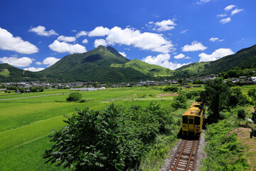 夏の由布岳と黄色い列車