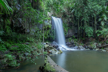 rainforest waterfall