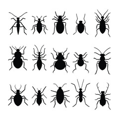 Silhouettes of 15 different types of insects. Perfect for graphic design projects or educational materials.