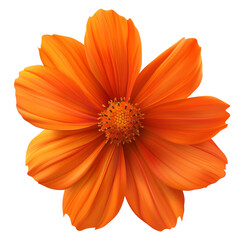 Vibrant Orange Flower in Full Bloom - Stunning Botanical Beauty Captured in High Resolution for Nature and Floral Enthusiasts