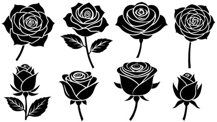 Beautiful Decorative Rose Silhouette and Hand-Drawn Flower Illustrations