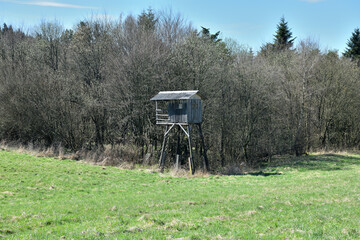 A wooden cottage for hunters hidden in the crown of a tree
