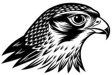 falcon head vector silhouette, eagle head icon