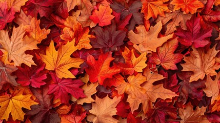 autumn background vibrant orange red