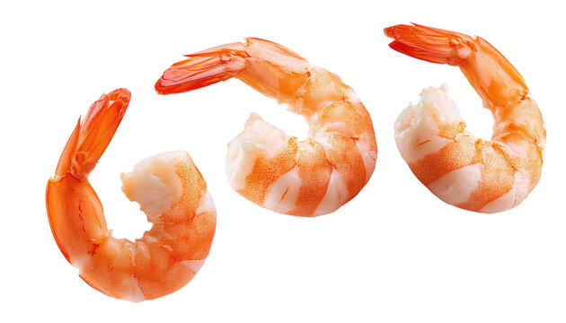 Fresh, cooked shrimp with a vibrant color, perfect for culinary presentations or seafood dishes.