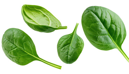 Fototapeta premium Fresh green spinach leaves isolated on a white background, perfect for healthy recipes and nutrition-related content.