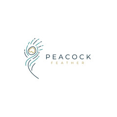 Beautiful peacock feathers with colorful in linear logo design concept