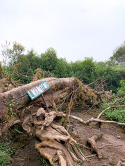 Obraz premium Amazing Nature from the top Merbabu mount indonesia with the green grass