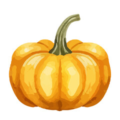 watercolor pumpkin. Fresh and healthy vegetables. Farm vegetables. fall autumn Pumpkin element Png, watercolor illustration, Autumn Halloween Watercolor Pumpkin.