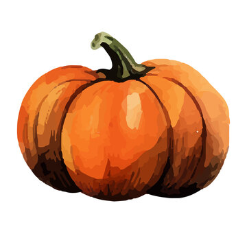 orange watercolor pumpkin on white background