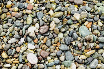 Color pebbles on the beach. Wet stones background.