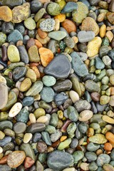 Color pebbles on the beach. Wet stones background.