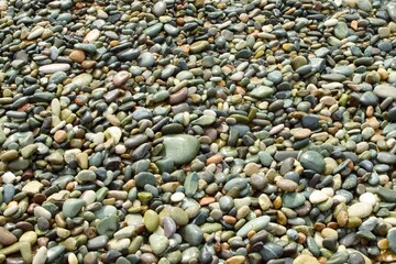 Color pebbles on the beach. Wet stones background.